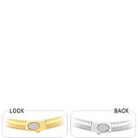 14k Two Tone Gold Omega Chain (6mm,18