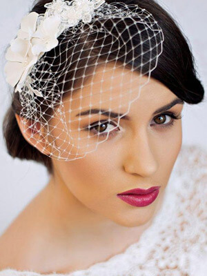 birdcage veil