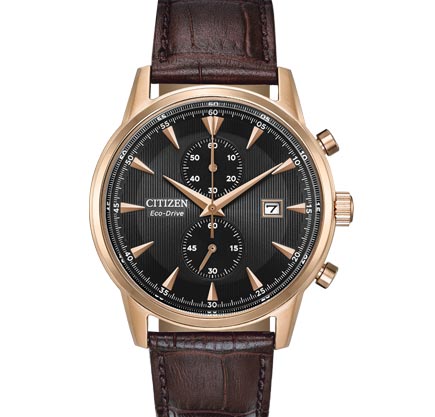citizen eco-drive stainless steel watch