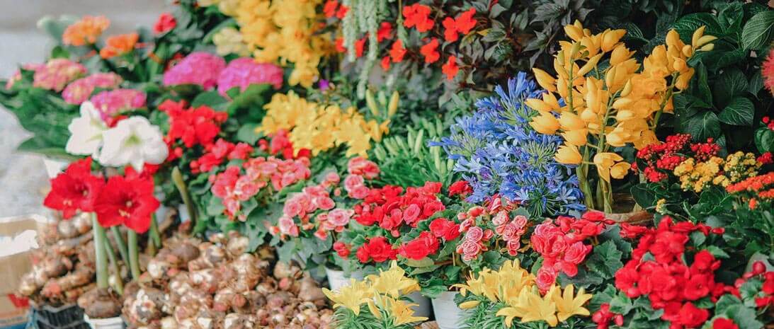 Most popular flower for wedding bouquet